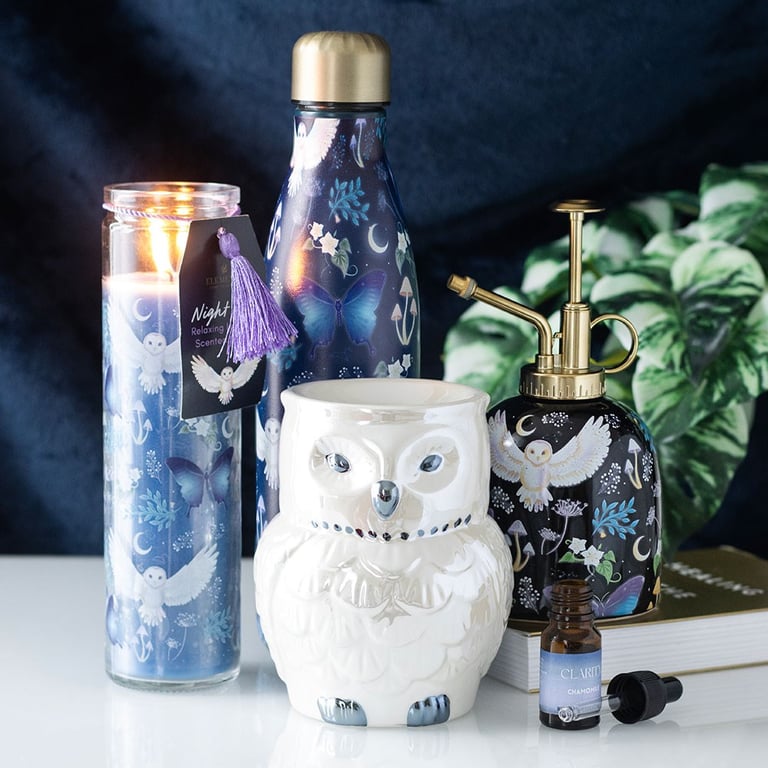 Ceramic Night Flight Owl Print Plant Mister - 500ml Capacity