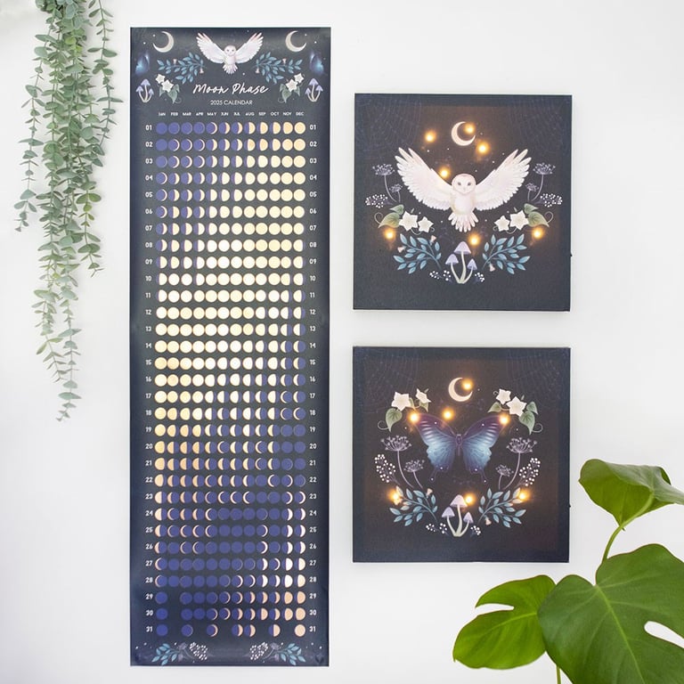 Midnight Moth Light Up Canvas Plaque - Glowing Wall Art with LED Lights and Mystical Design