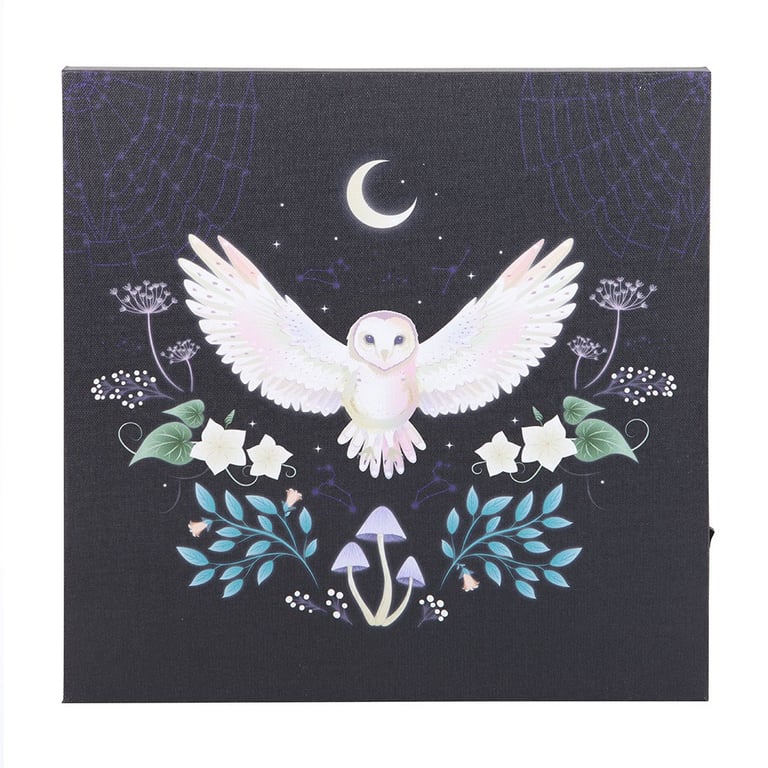Night Owl Light Up Canvas Plaque - Mystical Owl LED Wall Art with Home Lighting Design