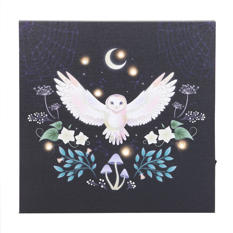 Night Owl Light Up Canvas Plaque - Mystical Owl LED Wall Art with Home Lighting Design