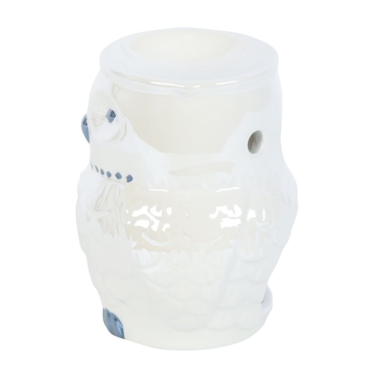 Iridescent Owl Shaped Oil Burner and Wax Warmer - Mystical Home Decor Fragrance Diffuser