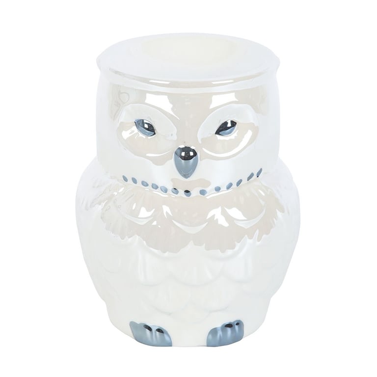 Iridescent Owl Shaped Oil Burner and Wax Warmer - Mystical Home Decor Fragrance Diffuser