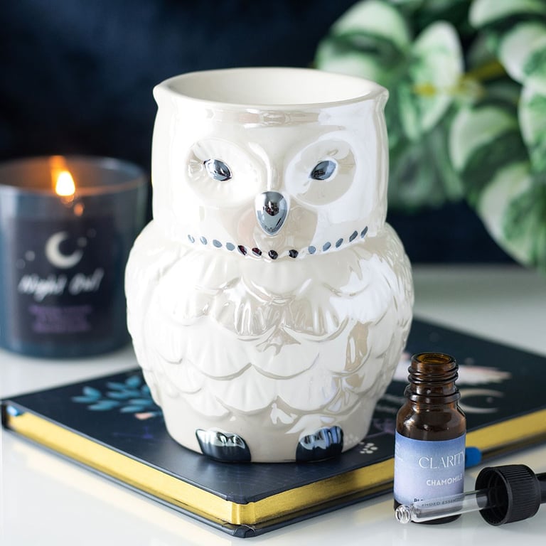 Iridescent Owl Shaped Oil Burner and Wax Warmer - Mystical Home Decor Fragrance Diffuser