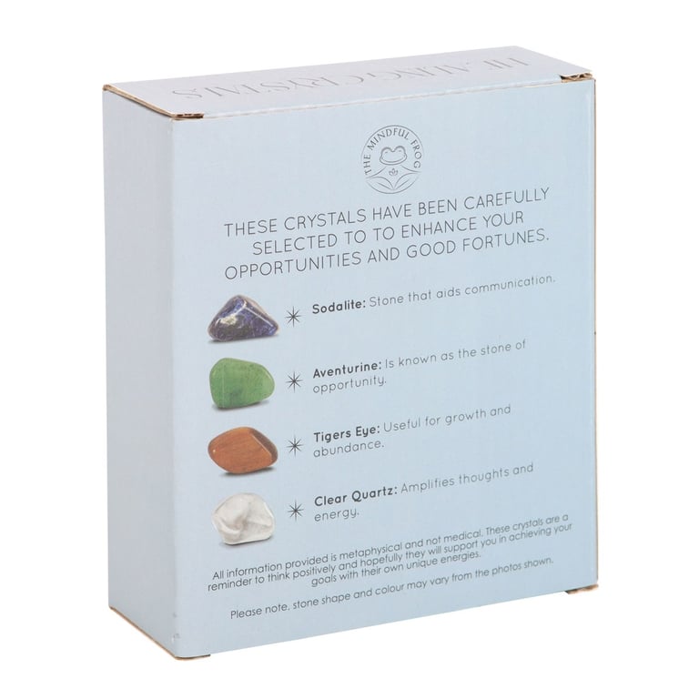Success Healing Crystal Set - Prosperity Attracting Stones with Crescent Moon Dish