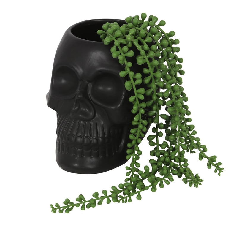 Classic Black Skull Plant Pot - Spooky Home Garden Decor