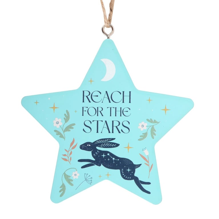 Reach for the Stars Hare Hanging Decoration - Whimsical Motivational Home Sign