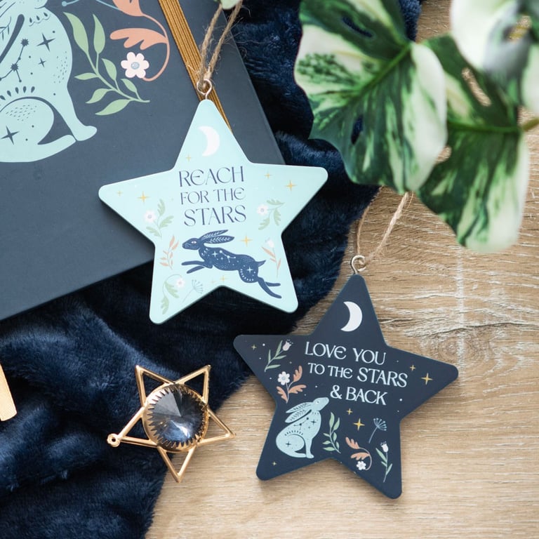 Reach for the Stars Hare Hanging Decoration - Whimsical Motivational Home Sign