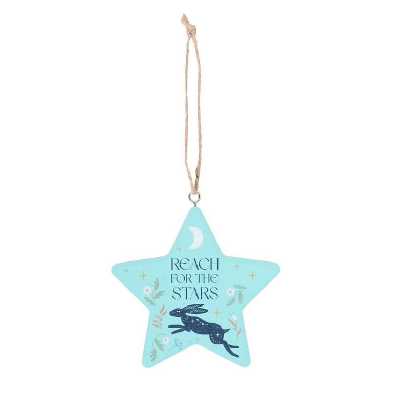 Reach for the Stars Hare Hanging Decoration - Whimsical Motivational Home Sign