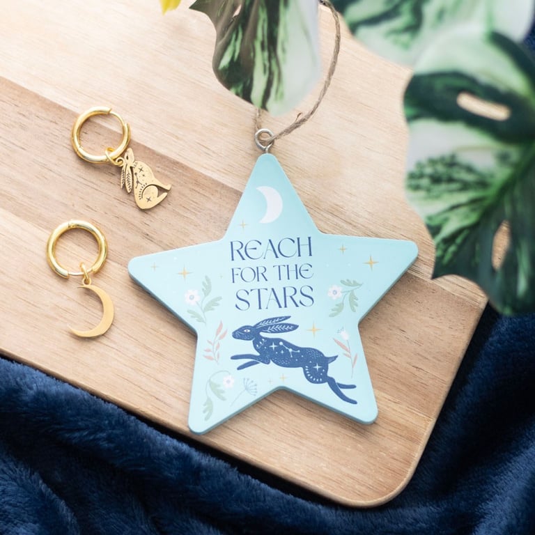 Reach for the Stars Hare Hanging Decoration - Whimsical Motivational Home Sign