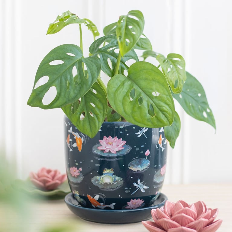 Pond Print Plant Pot with Saucer - Beautiful House Plants Decoration Featuring Frogs and Dragonflies