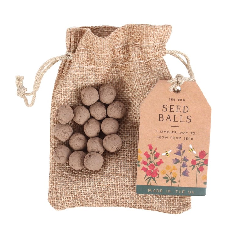 24 Wildflower Seed Balls - UK Made Eco Friendly Plantable Gifts for Garden
