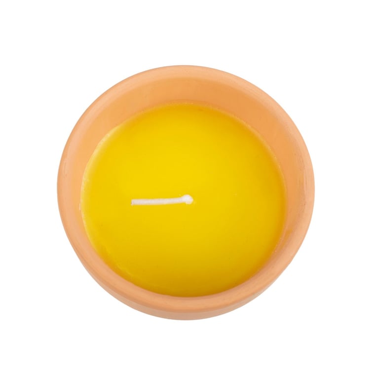 Gardener of the Year Citronella Wax Candle - Elegant Outdoor Insect Repellent Gift