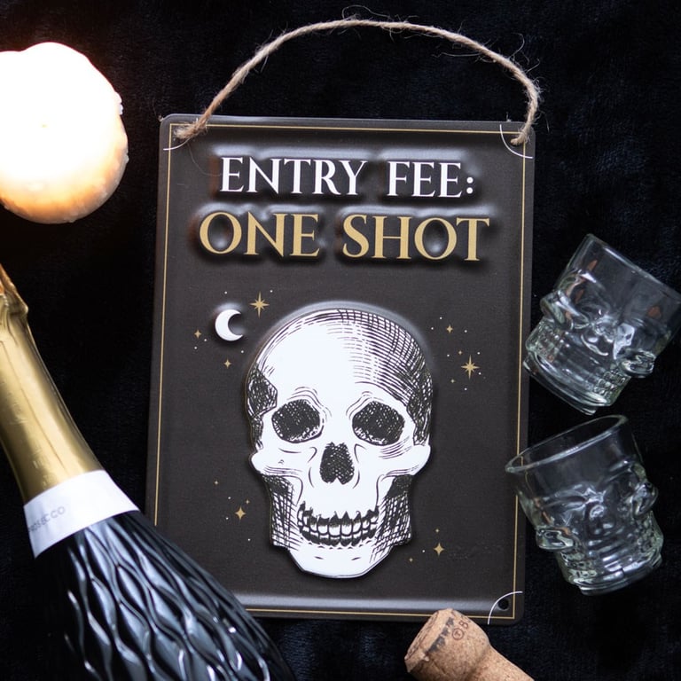 Entry Fee One Shot Hanging Metal Sign - Humorous Party Entrance Sign for Events