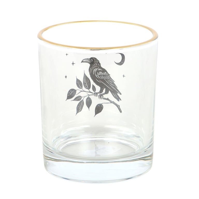 Perched Raven Gothic Glass - Elegant Dark Themed Drinking Glass, 350ml Handwash Only