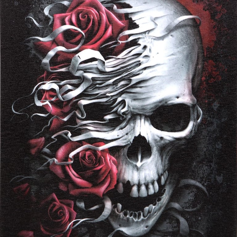 Skulls n Roses 19x25cm Dark Art Canvas Plaque - Gothic Home Decor by Spiral Direct