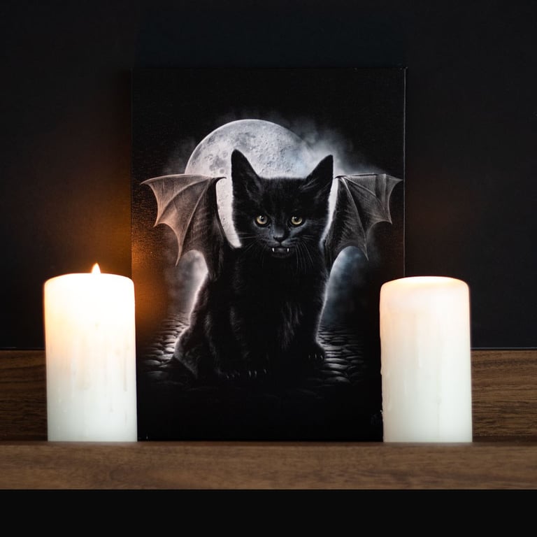 19x25cm Bat Cat Canvas Plaque - Dark Vampire Kitten Art for Gothic Home Decor