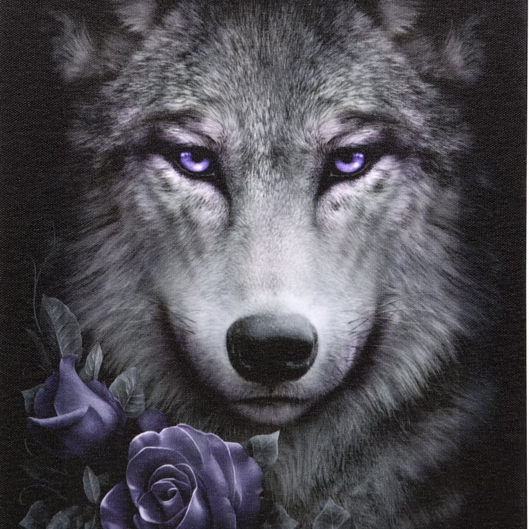 Wolf Roses Canvas Plaque - Gothic Decor Art by Spiral Direct