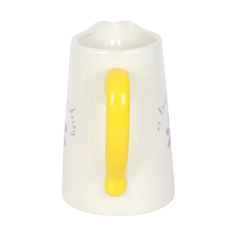 Fresh as a Daisy Ceramic Flower Jug - 1100ml Capacity Home Decor