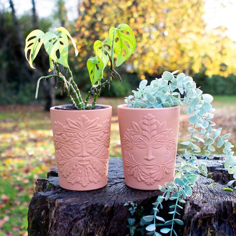 Green Goddess Terracotta Plant Pot - Perfect for House Plants and Gardening Gifts
