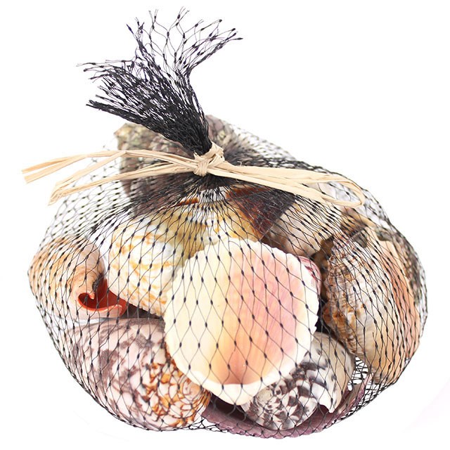 Pretty Sea Shells in Black Net Home Decor