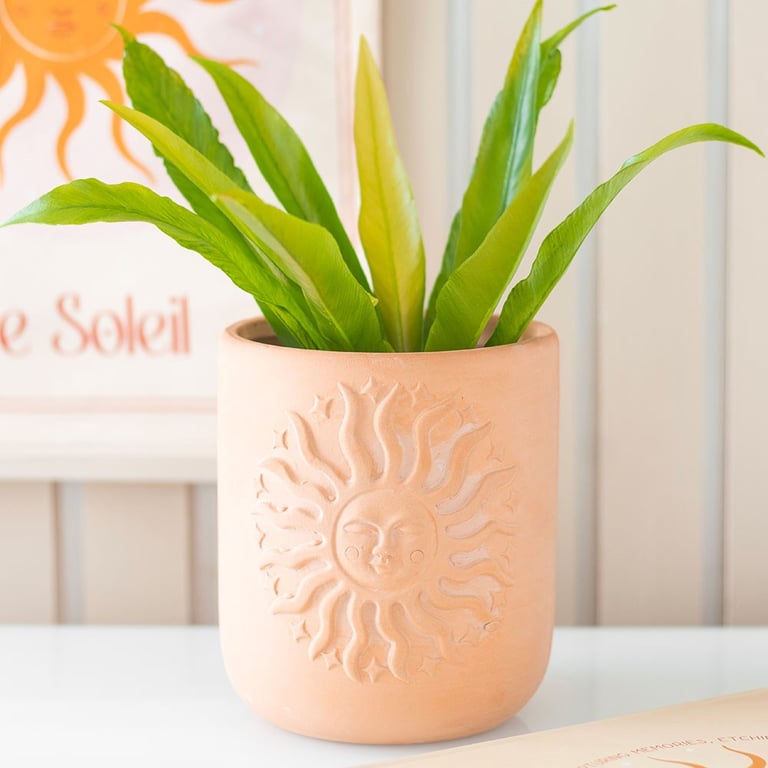 Terracotta Sun Plant Pot - Bohemian Style Embossed Design