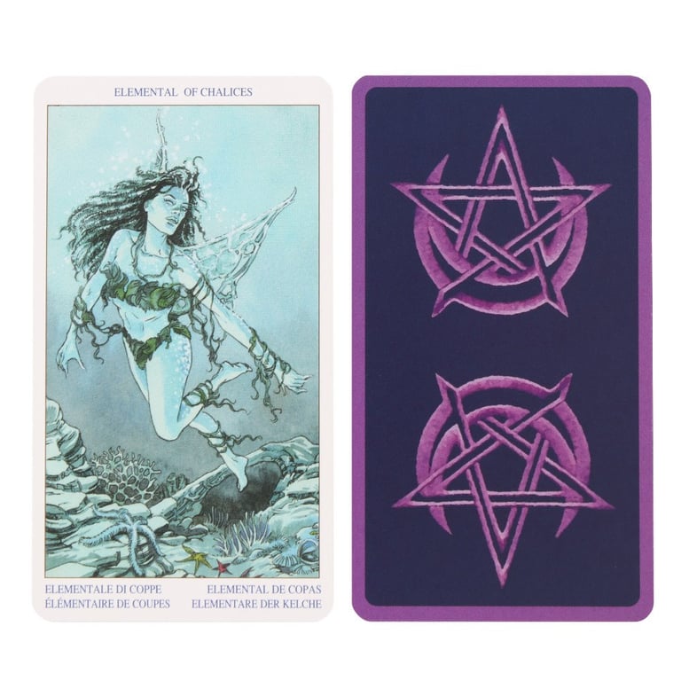 Pagan Tarot Card Deck - Spiritual Journey Guide by Gina M. Pace & Luca Raimondo