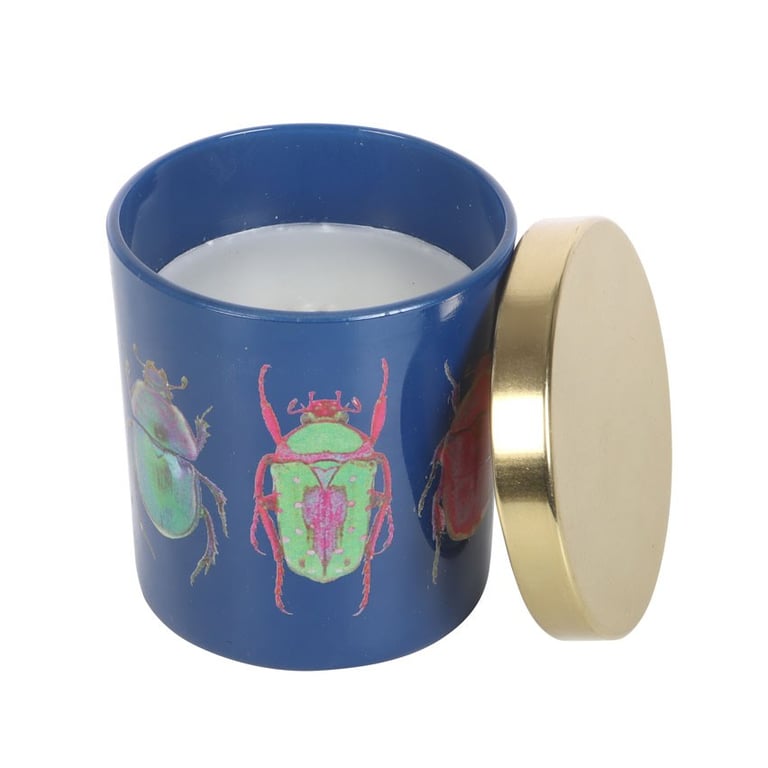 Blue Beetle Candle - Amber Vanilla Fragrance Home Decor Candle with 25 Hour Burn Time