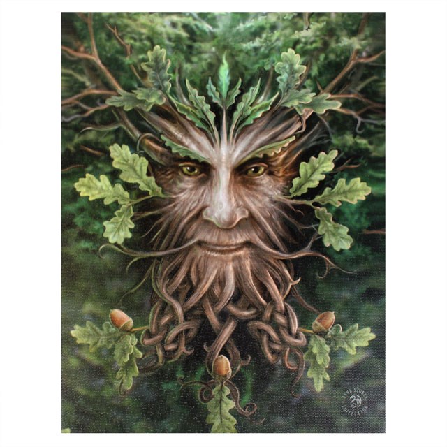 19x25cm Oak King Canvas Plaque by Anne Stokes - Fantasy Art Home Decor Wall Art