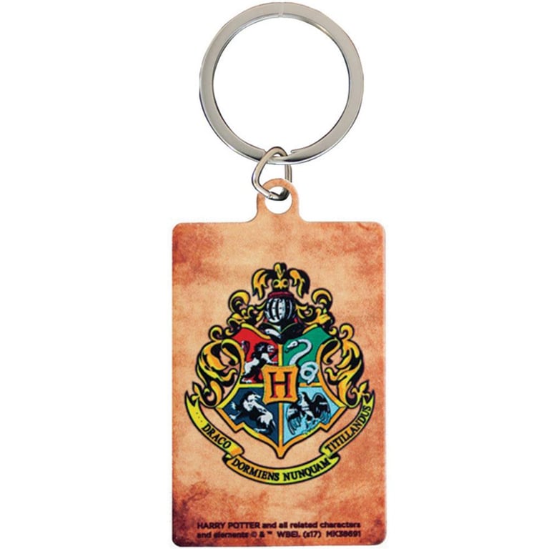 Harry Potter Slytherin Metal Keyring with Official Hogwarts Crests