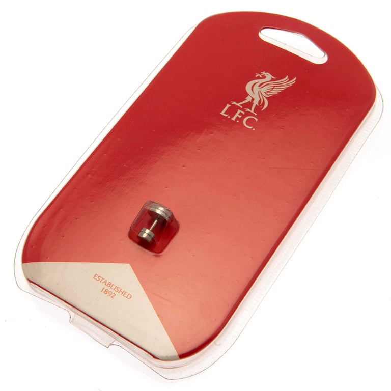 Liverpool FC Premier League Champions Stainless Steel Stud Earring - Laser Printed Screw Back Design