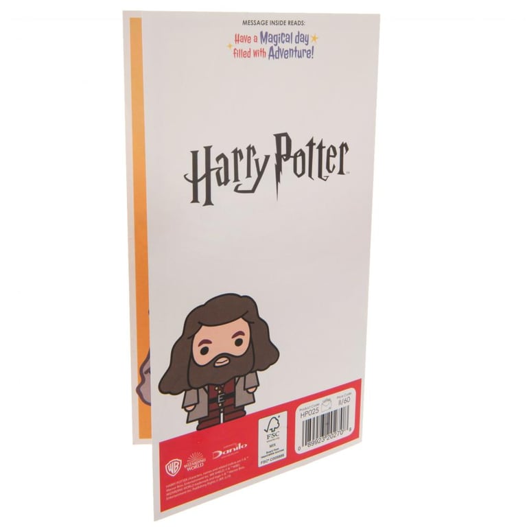 Harry Potter Chibi Style Magical Birthday Card - Colourful Gloss Finish With Adventure Message