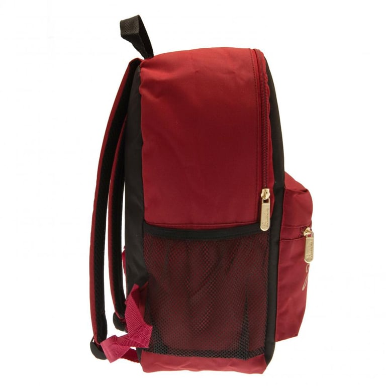 Harry Potter Hogwarts Crest Padded Backpack with Adjustable Straps and Large Capacity