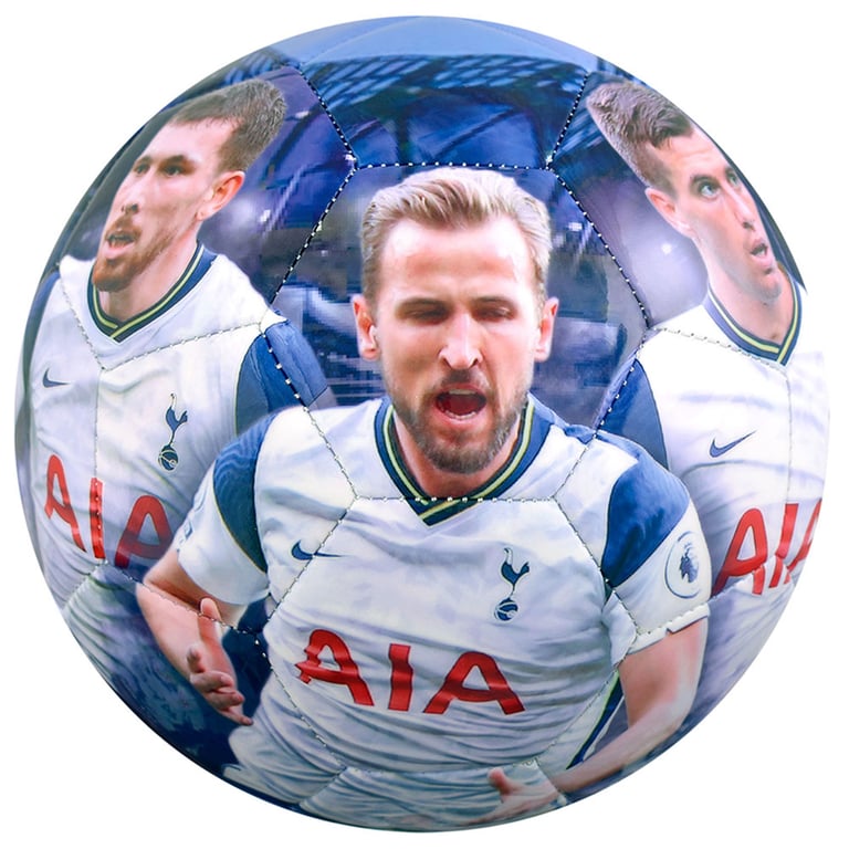 Tottenham Hotspur FC Players Photo Football - High Spec Digital Print with Premier League Squad Members