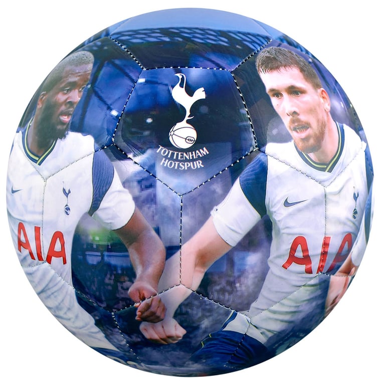 Tottenham Hotspur FC Players Photo Football - High Spec Digital Print with Premier League Squad Members