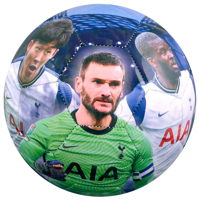 Tottenham Hotspur FC Players Photo Football - High Spec Digital Print with Premier League Squad Members
