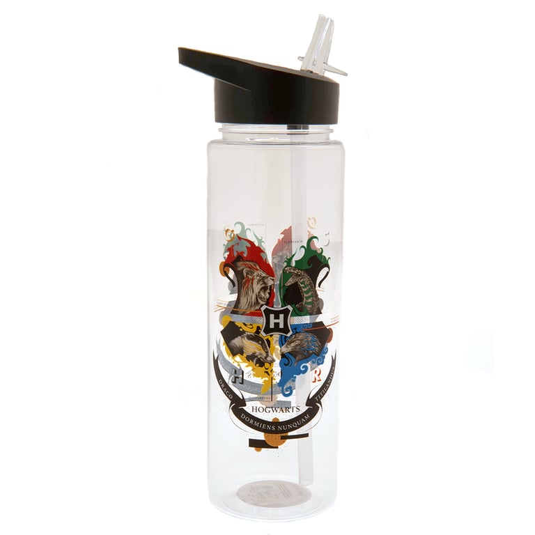 Harry Potter Hogwarts Logo Plastic Screw Top Water Bottle with Clear Spout