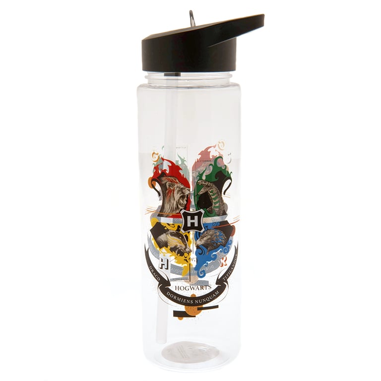 Harry Potter Hogwarts Logo Plastic Screw Top Water Bottle with Clear Spout