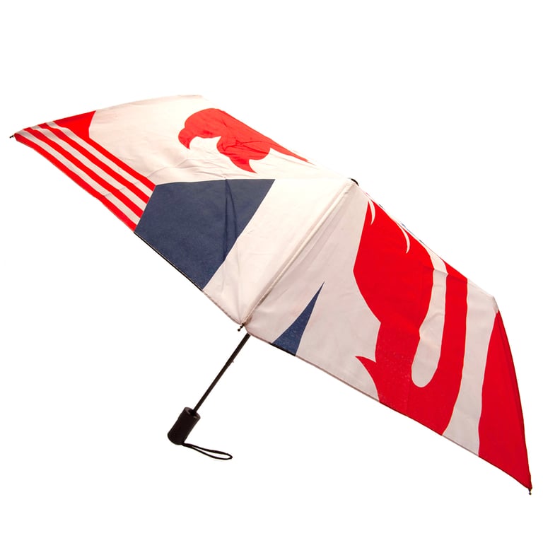 England FA Umbrella - High Quality Screen Print Crest with Automatic Opening Button and Protective Sleeve