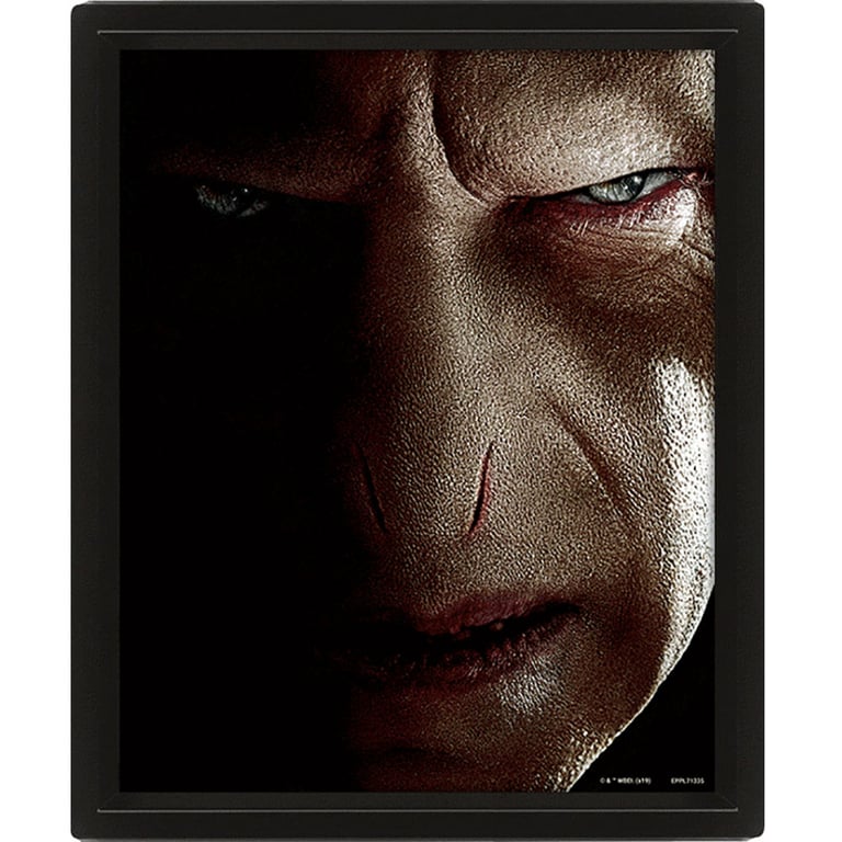 Harry Potter 3D Lenticular Picture Frame