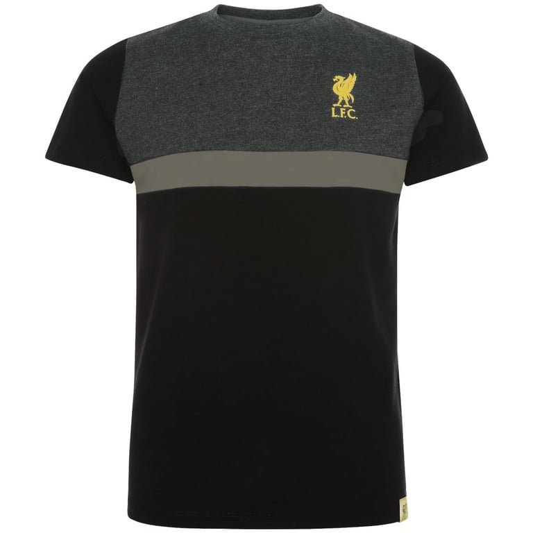 Liverpool FC Junior Panel T-Shirt - Gold Print Crest Design, 100 Cotton, Machine Washable