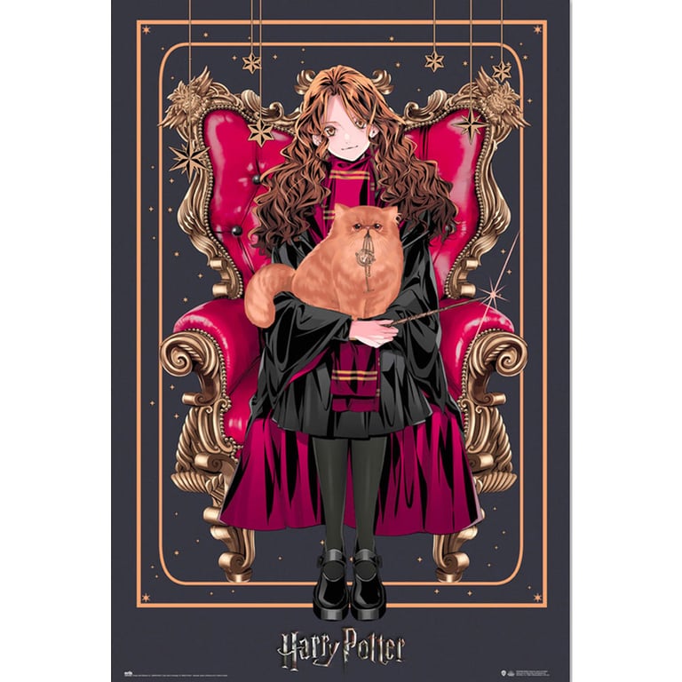 Harry Potter Dynasty Hermione Poster - High Resolution Artwork on Gloss Paper