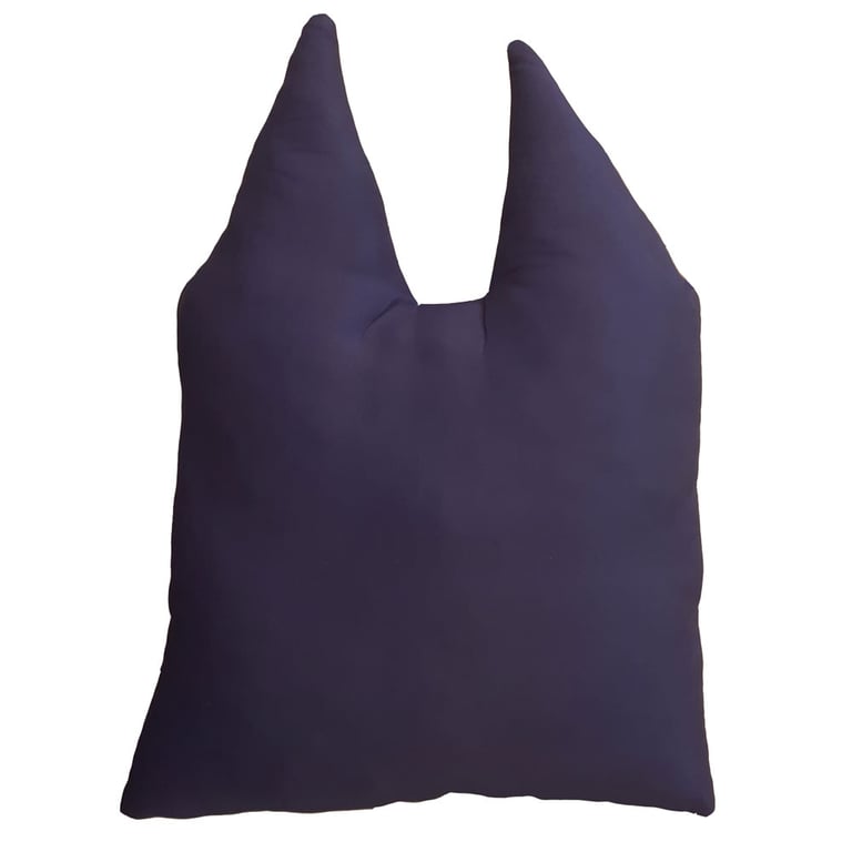 Bluey Shaped 100 Polyester Cushion for Home Decor - Spot Clean