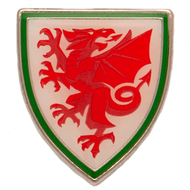 FA Wales Crest Metal Badge - Die Stamped Enamel Pin with Butterfly Clasp