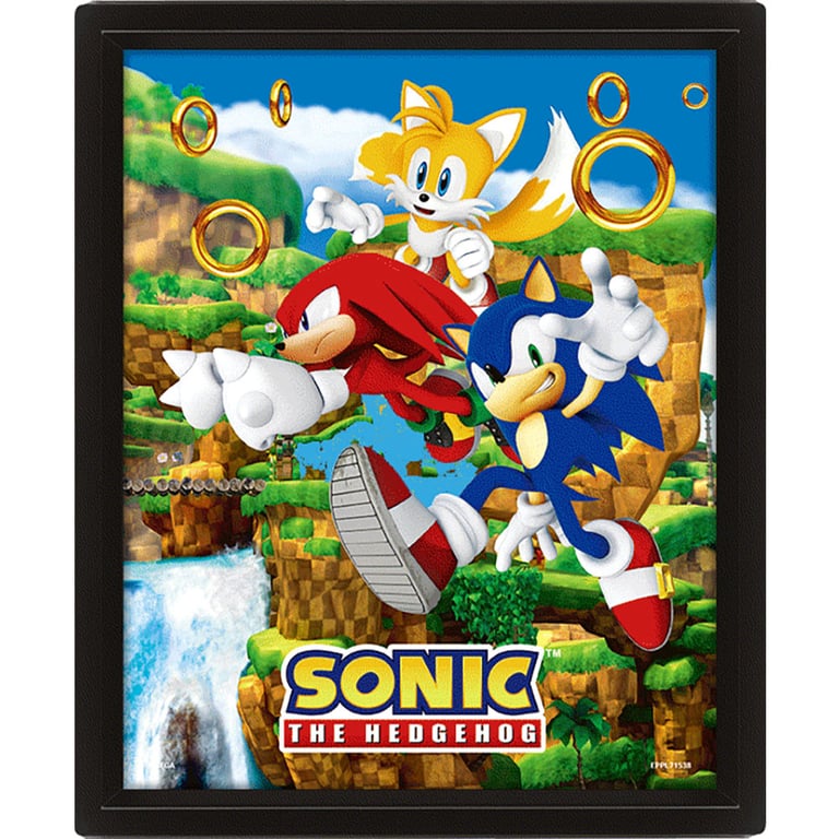 Sonic 3D Lenticular Framed Picture - Moving Image of Sonic and Friends Catching Rings