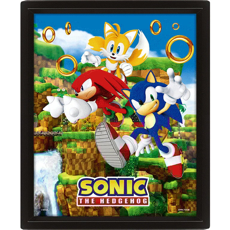 Sonic 3D Lenticular Framed Picture - Moving Image of Sonic and Friends Catching Rings