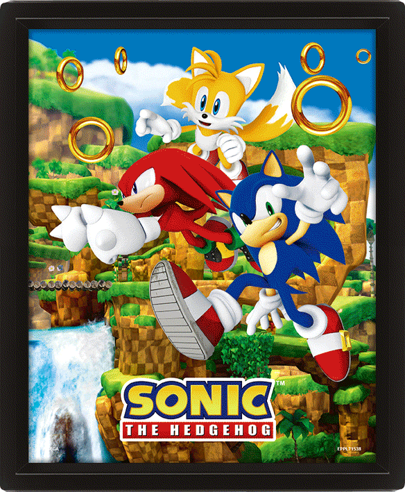 Sonic 3D Lenticular Framed Picture - Moving Image of Sonic and Friends Catching Rings
