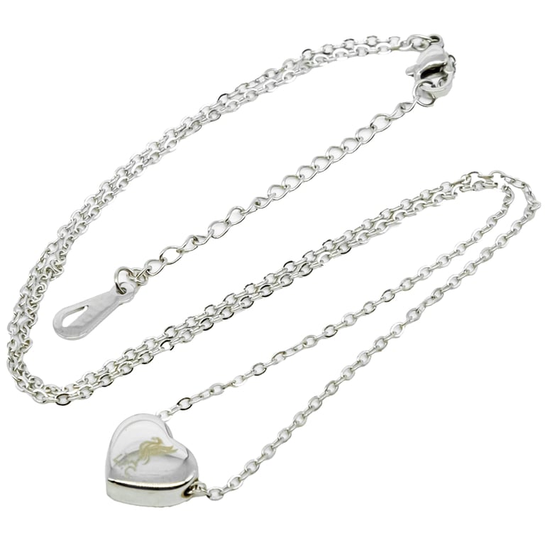Liverpool FC Stainless Steel Heart Necklace with Liverbird Crest Engraving