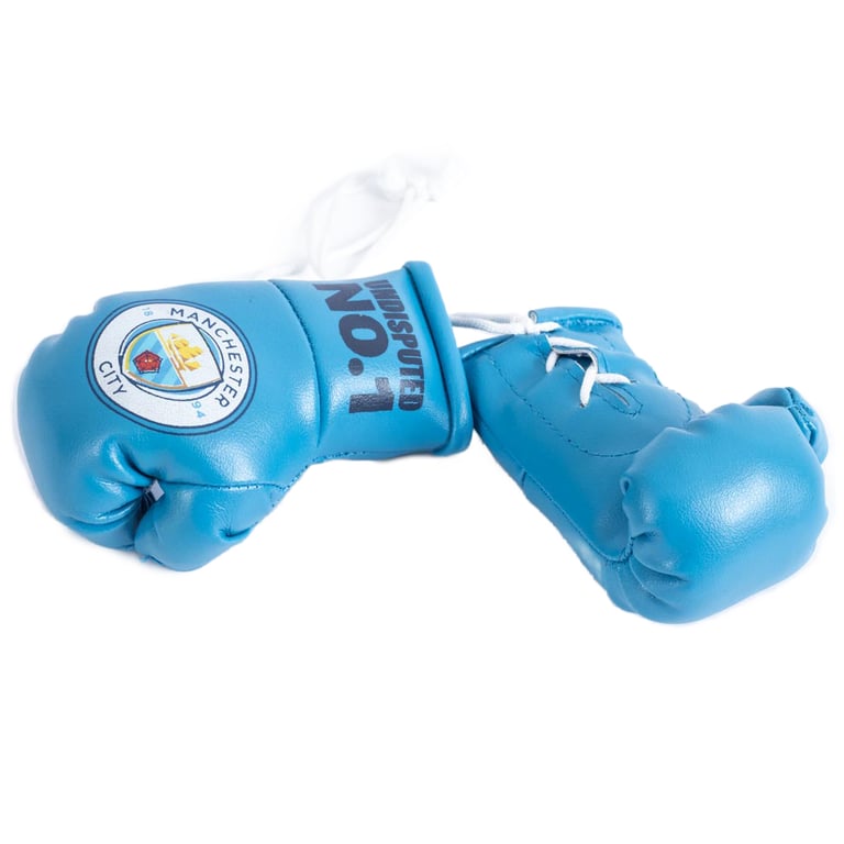 Manchester City FC Mini Boxing Gloves with Blue City Crest and Laces