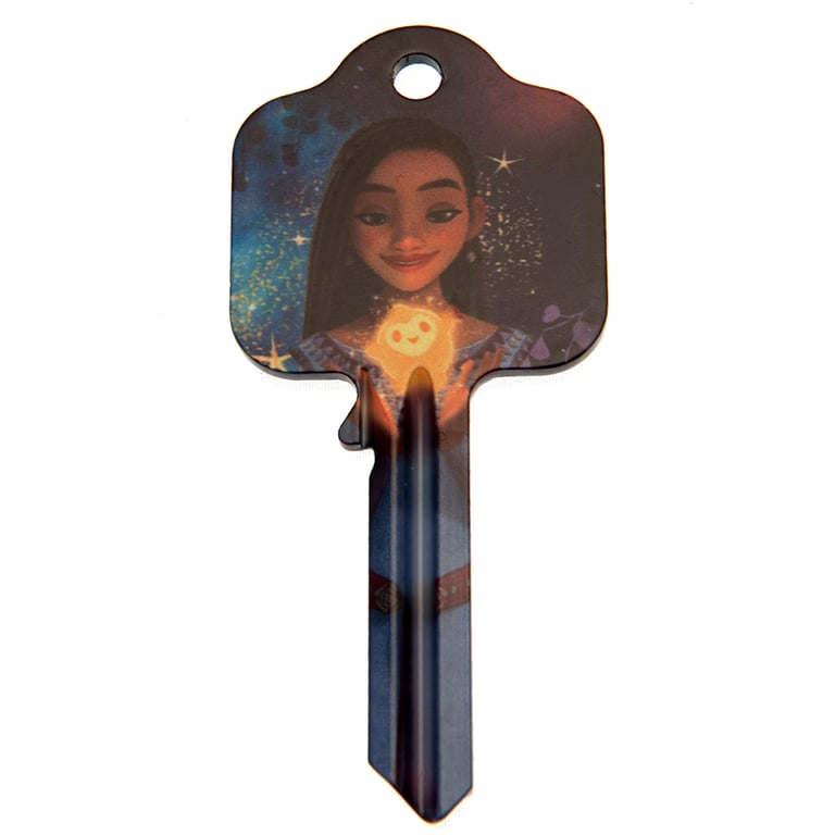Wish Door Key Asha - High Quality Blank Door Key Compatible with UL2 & UL054/UL1 & UL050 Profile Locks