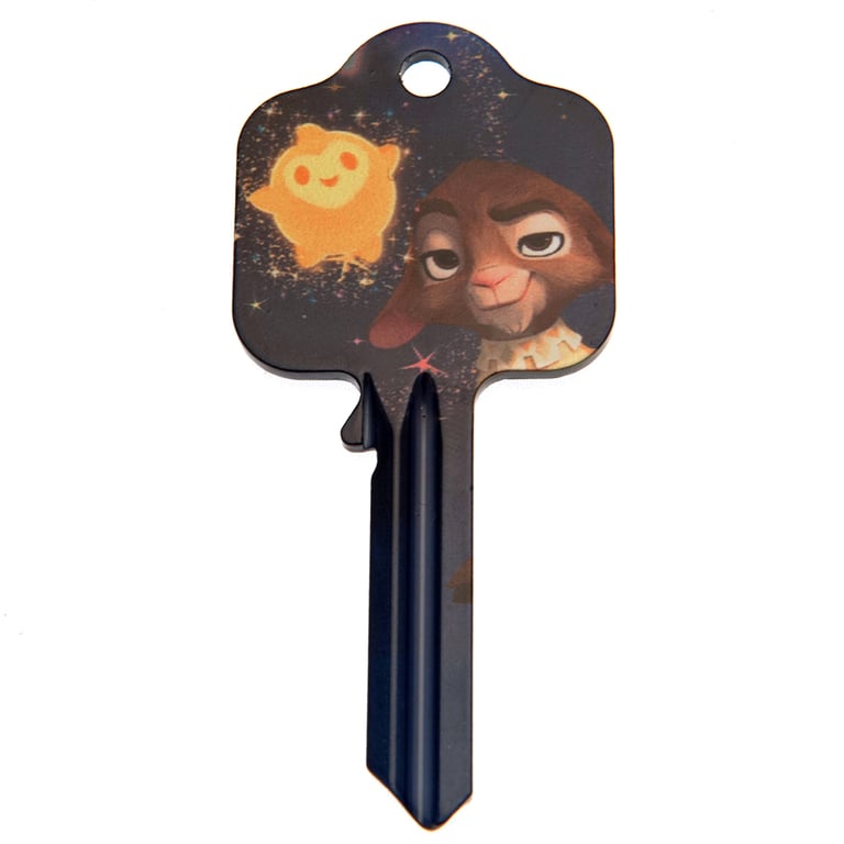Wish Door Key Valentino - UL2 & UL054 Compatible High-Quality Printed Blank Door Key